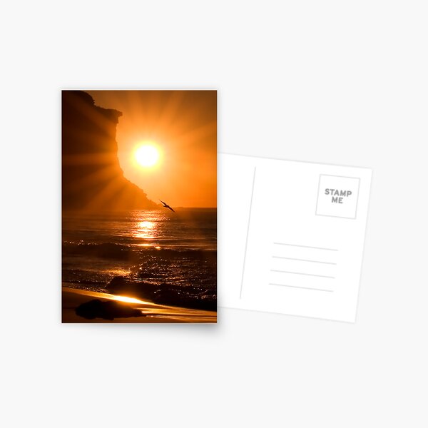 Radiance Postcard