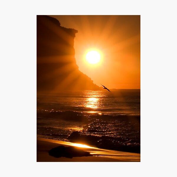 Radiance Photographic Print