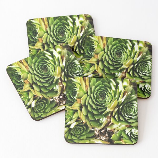 Item preview, Succulent designed and sold by WonderLisa.