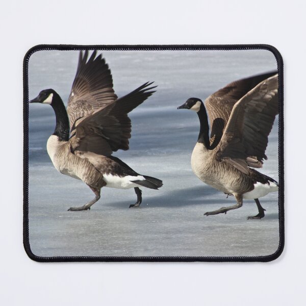 Item preview, Synchronized Gooseses designed and sold by WonderLisa.