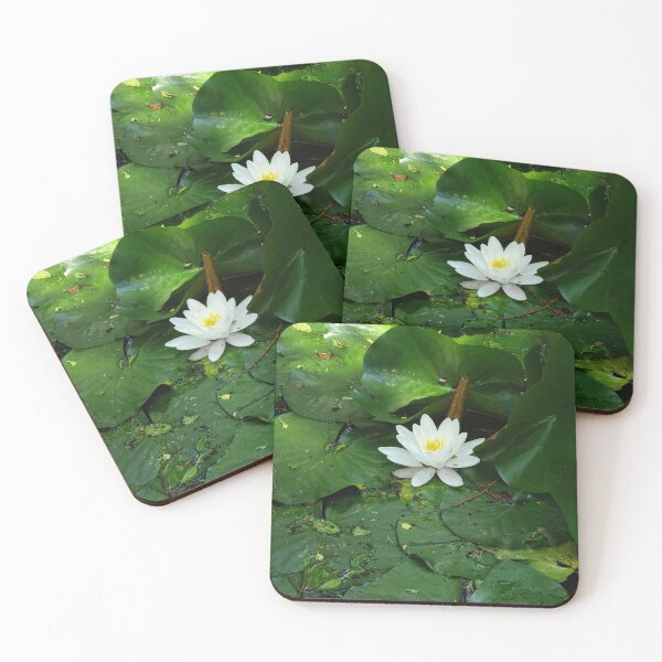 Item preview, Beautiful Water Lily designed and sold by FaesFlora.