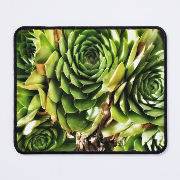 Item preview, Succulent designed and sold by WonderLisa.