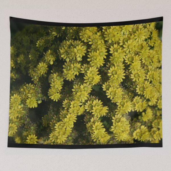 Item preview, Surprise DPG150528b designed and sold by CSteenArt.