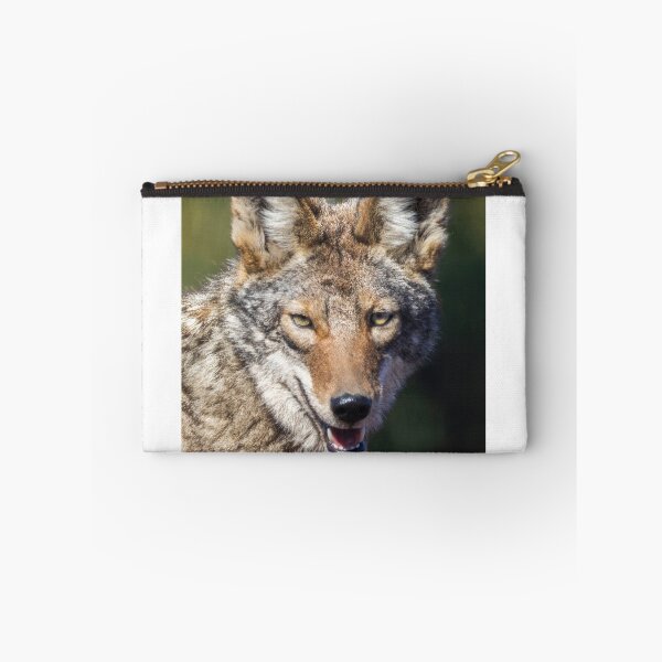 Item preview, Coyote Headshot. Arastradero Preserve, California, USA. designed and sold by yhelfman.