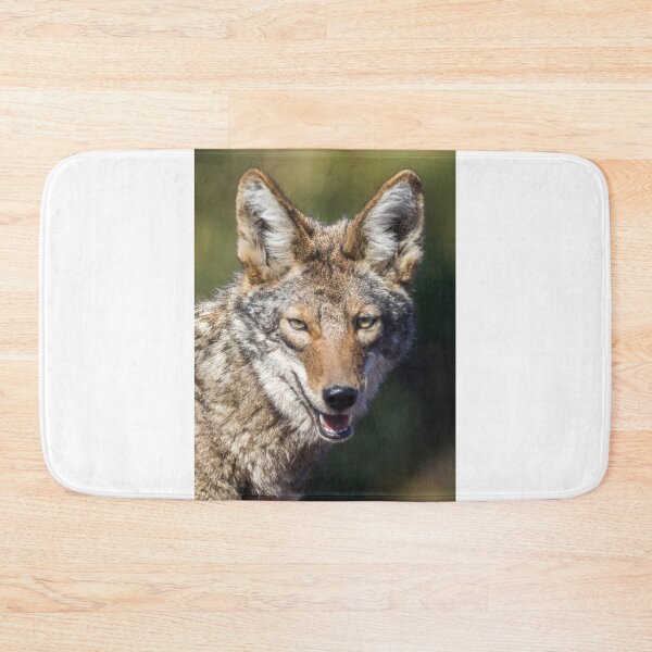 Item preview, Coyote Headshot. Arastradero Preserve, California, USA. designed and sold by yhelfman.