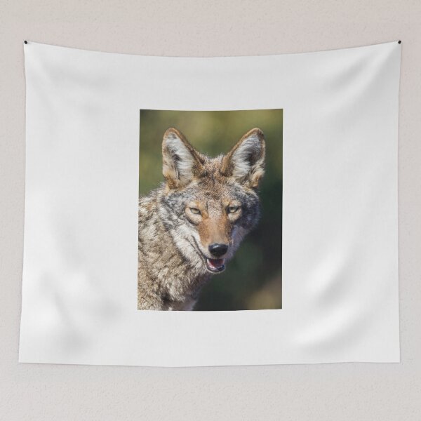 Item preview, Coyote Headshot. Arastradero Preserve, California, USA. designed and sold by yhelfman.