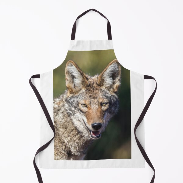 Item preview, Coyote Headshot. Arastradero Preserve, California, USA. designed and sold by yhelfman.