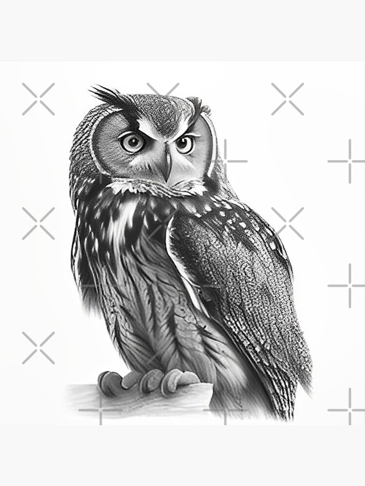 How To Draw A Great Horned Owl, Step by Step, Drawing Guide, by  finalprodigy - DragoArt