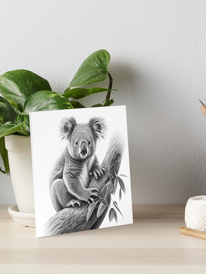 Koala pencil drawing Art Board Print for Sale by Pencil-Art