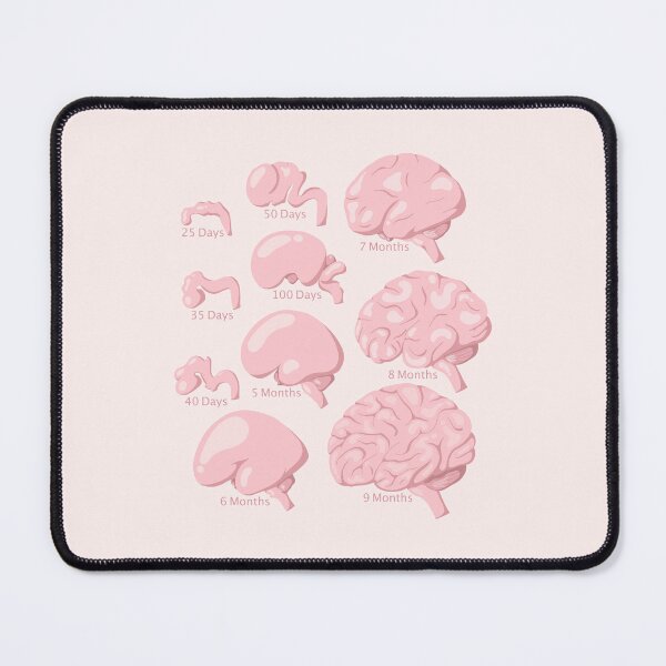 Item preview, Brain Development - Neuroscience designed and sold by BundaBear.