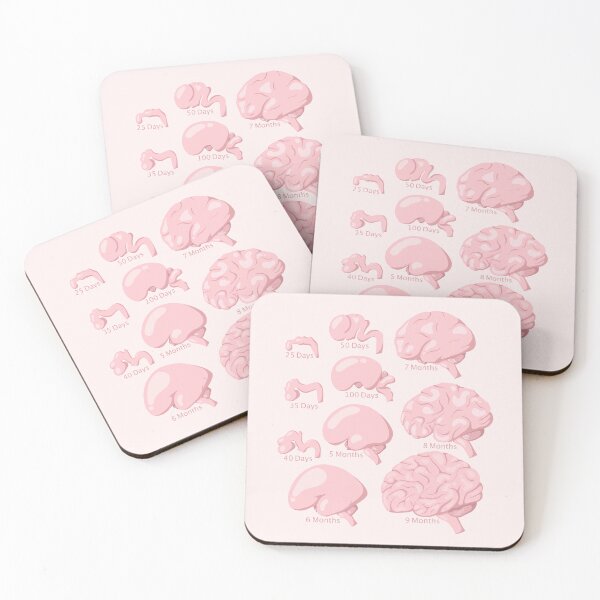 Item preview, Brain Development - Neuroscience designed and sold by BundaBear.