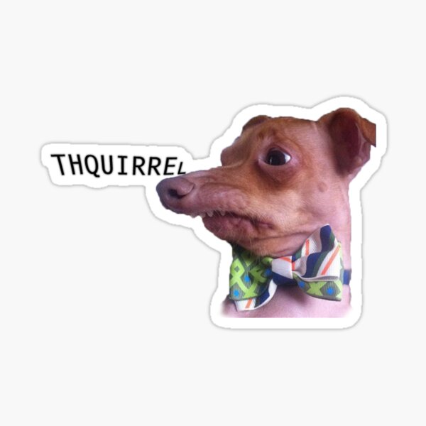 quirky pup Sticker