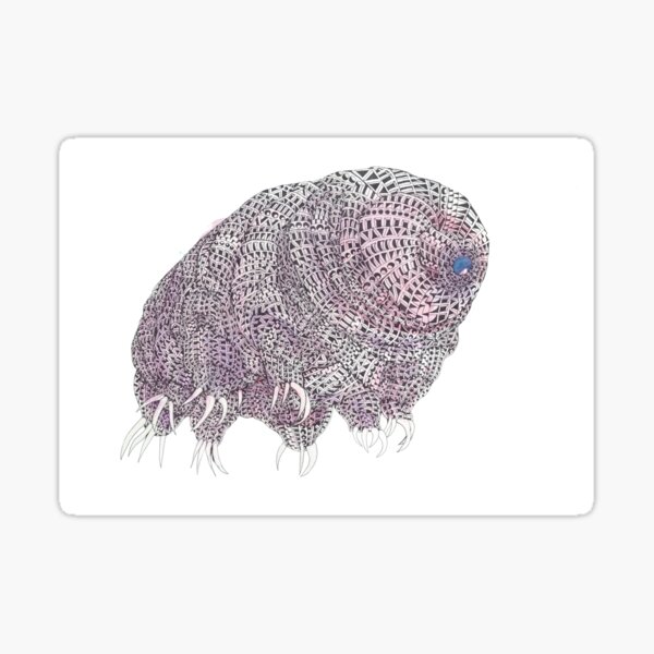 water bear Sticker