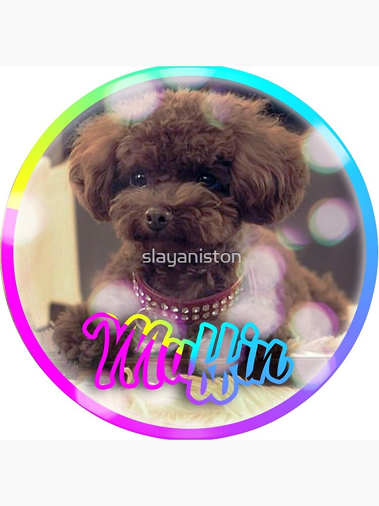 Nugget Katy Perrys Hund" Postkarte von slayaniston Redbubble