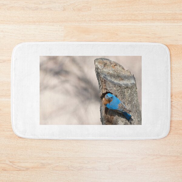 Item preview, Eastern Bluebird designed and sold by Puttaswamy Ravishankar.