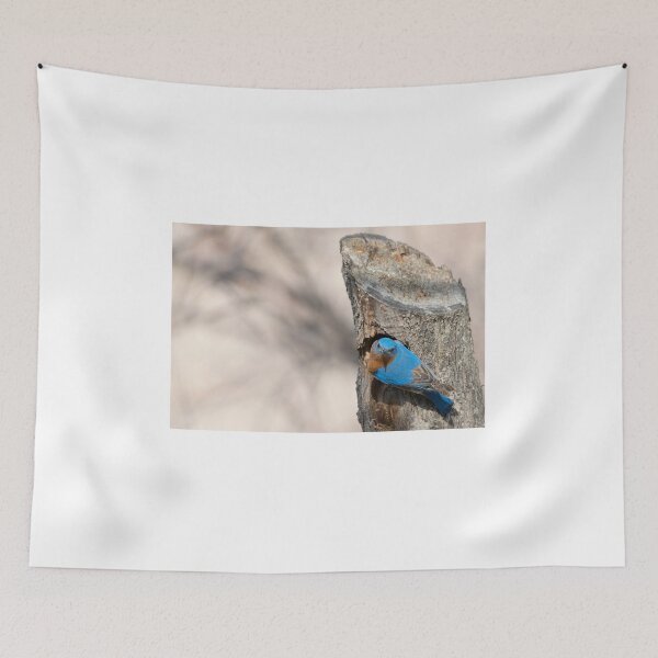 Item preview, Eastern Bluebird designed and sold by Puttaswamy Ravishankar.
