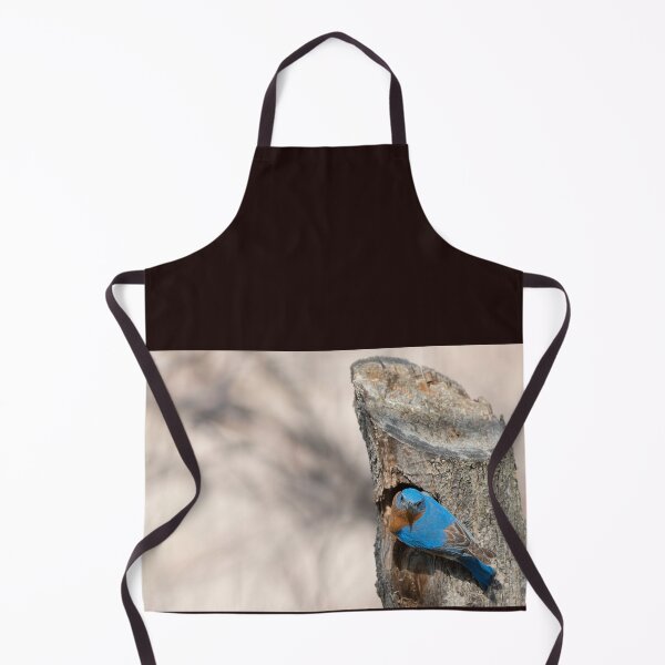 Item preview, Eastern Bluebird designed and sold by Puttaswamy Ravishankar.