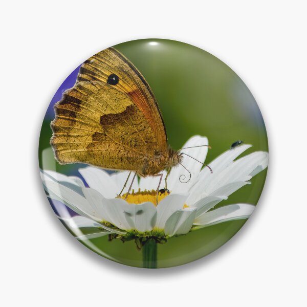 Item preview, Meadow brown on daisy designed and sold by Mart R Porter Nature.