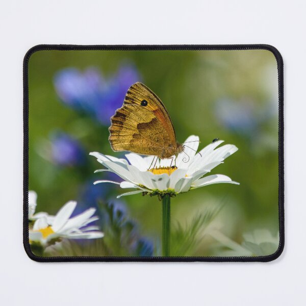 Item preview, Meadow brown on daisy designed and sold by Mart R Porter Nature.