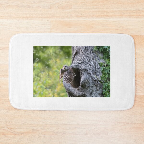 Item preview, Focused Flight designed and sold by Puttaswamy Ravishankar.