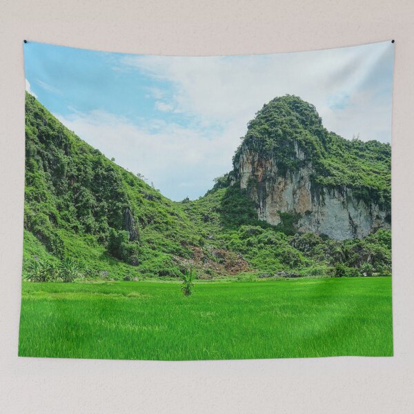 Item preview, Vietnam - Road from Ha Giang to Dong Van. karst plateau designed and sold by franck380.