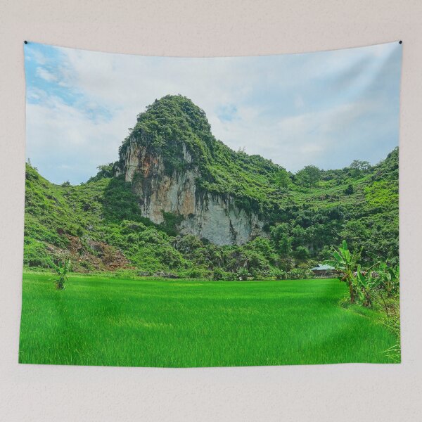 Item preview, Vietnam - Road from Ha Giang to Dong Van. karst plateau designed and sold by franck380.
