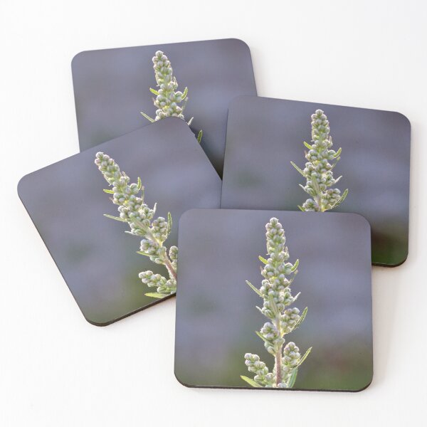 Item preview, Peacefull plant in the countryside designed and sold by Maria-Caldas-Ph.