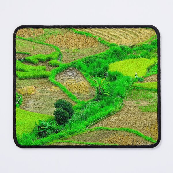 Item preview, Vietnam - Road from Ha Giang to Dong Van. paddy field designed and sold by franck380.