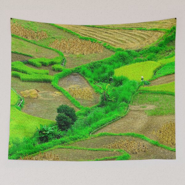 Item preview, Vietnam - Road from Ha Giang to Dong Van. paddy field designed and sold by franck380.