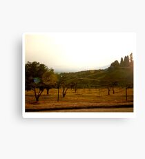 Wide Angle Canvas Print