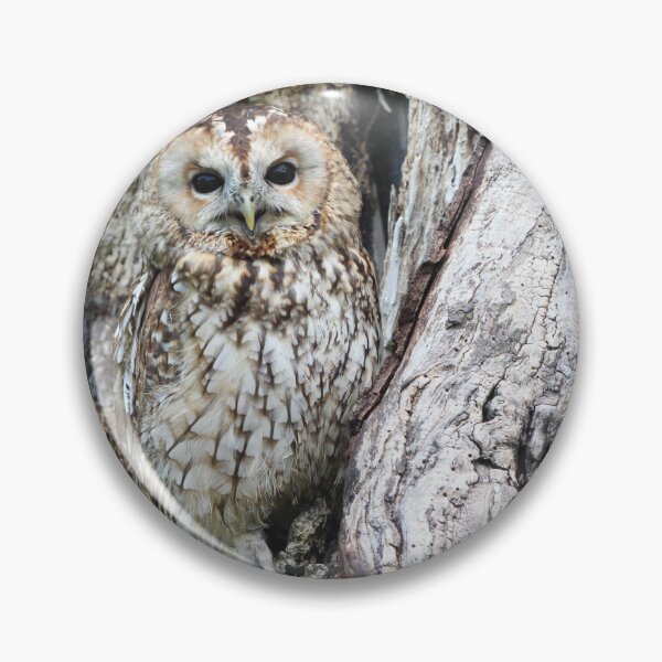 Item preview,  Owl Camouflage Wildlife Bird Of Prey Predator Bird designed and sold by Real--beauty.