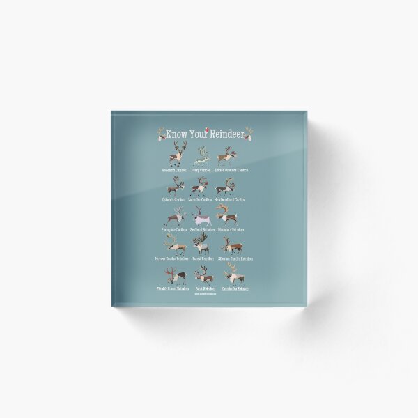 Know Your Reindeer Acrylic Block