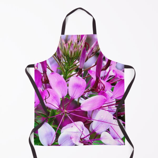 Item preview, Vietnam - flower on Ha Giang plateau designed and sold by franck380.