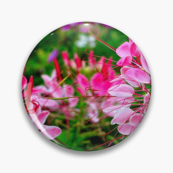 Item preview, Vietnam - flower on Ha Giang plateau designed and sold by franck380.
