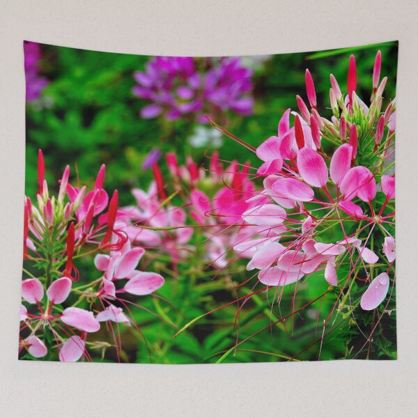 Item preview, Vietnam - flower on Ha Giang plateau designed and sold by franck380.