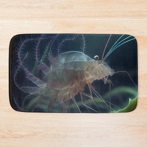 Item preview, The Bacteriums Squawking Quill and Trellised Shrim Digital Painting designed and sold by CodeAndColors.