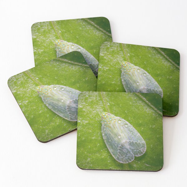 Item preview, Unique and organic photo of a dew-covered planthopper designed and sold by AvonPerception.