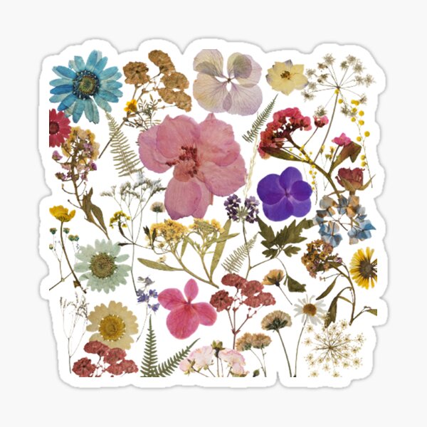 pressed flowers Sticker for Sale by crazylazygirl