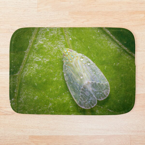 Item preview, Unique and organic photo of a dew-covered planthopper designed and sold by AvonPerception.