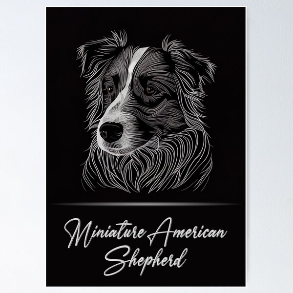 Item preview, Miniature American Shepherd designed and sold by Best-Breeds.