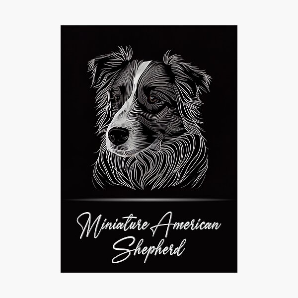Item preview, Miniature American Shepherd designed and sold by Best-Breeds.