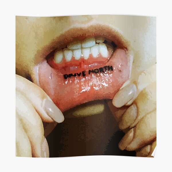 swmrs drive north Poster