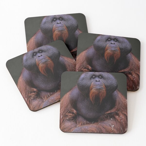 Item preview, Wise Monkey designed and sold by mgfman1.