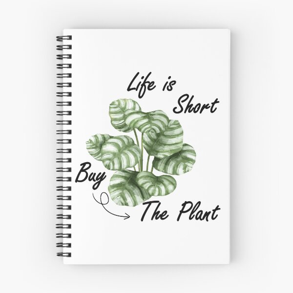 Item preview, Life Is Short Buy The Plant - Calathea Orbifolia designed and sold by FirstTouch.