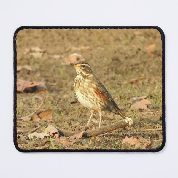 Item preview, Redwing on the ground designed and sold by TwistedClassics.