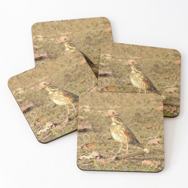 Item preview, Redwing on the ground designed and sold by TwistedClassics.