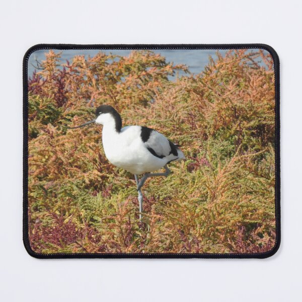 Item preview, Avocet with coloured foliage designed and sold by TwistedClassics.