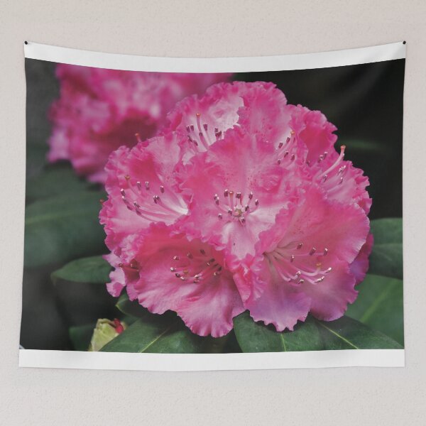 Item preview, Pink Beauty designed and sold by Nerone.