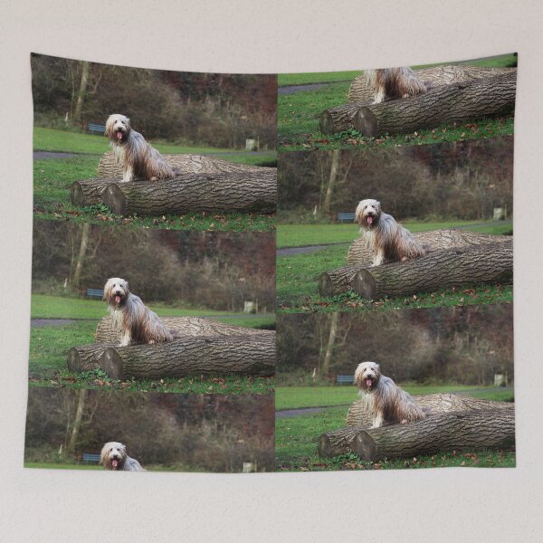 Item preview, Skye designed and sold by Paul Thompson Photography.