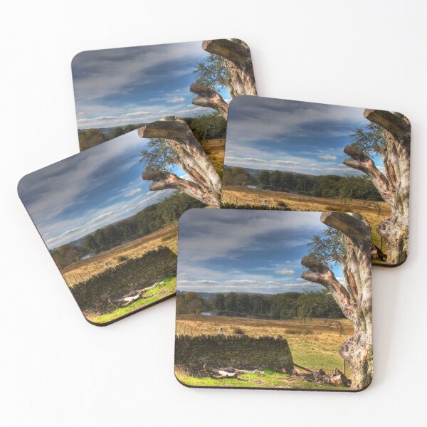 Item preview, Peak District Longshaw Estate designed and sold by Paul Thompson Photography.